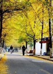锦绣路