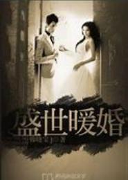 重生之盛世暖婚