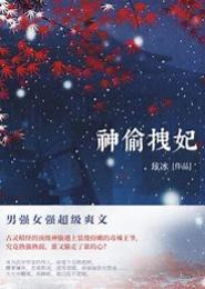 神偷拽妃，王爷滚远点
