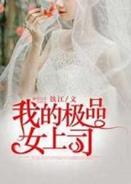 我的极品女上司