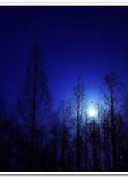 DarkMoon月朦胧