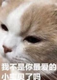 最爱还不是我