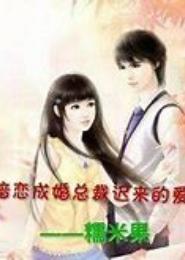 娶个总裁暖心窝