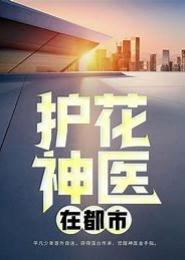 护花神医在都市