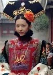 天纵流星之成妃
