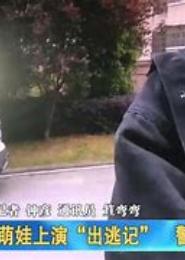 萌娃出逃把娘给朕留下