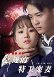 钻石总裁的特工悍妻
