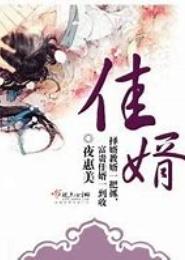 佳婿攻略