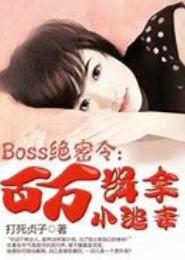 Boss绝密令：百万缉拿小逃妻