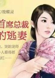 总裁的爱逃妻