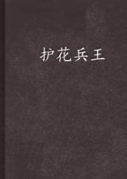 全能护花兵王