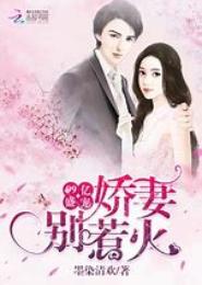 骄妻惹火：老公别乱来