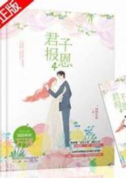 贵妻嫁一送二