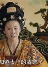 卿本殊色，跟班太子妃