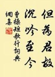 但为君故