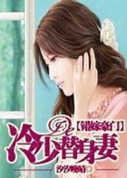豪门婚宠：冷少的替身前妻