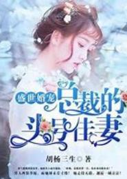 佳妻良辰，二婚总裁请冷静