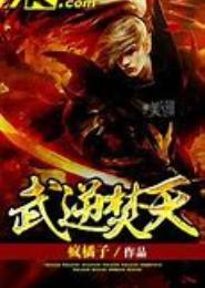 武逆焚天