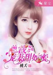 甜宠总裁乖妻