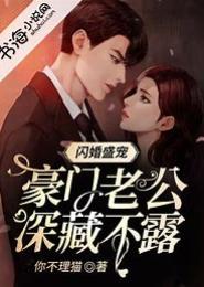 闪婚盛宠