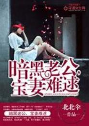 暗黑老公，宝妻难逑