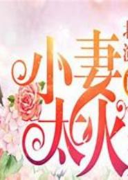 爱妻入怀之萌娃来袭