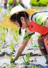淘个宝贝去种田