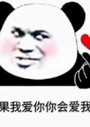 你会爱我么