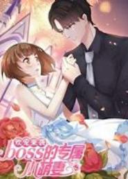 BOSS的专属宅妻