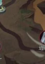仙灵田
