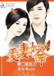 豪门之爱妻不回首
