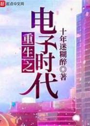 重生之电子风云