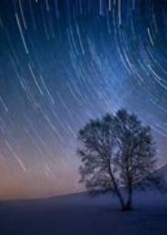步步星光