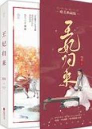 再世情缘之王妃归来