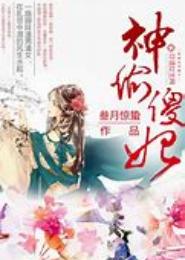 神偷傻妃
