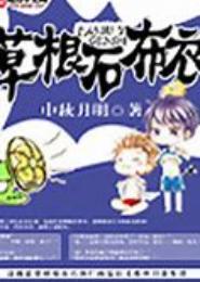 草根石布衣