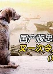 忠犬陆先生：爱妻有泪