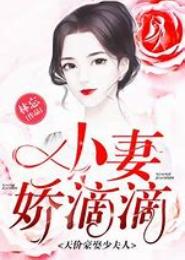 试爱90天：豪娶天价宝贝