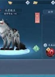 狼王的宠物王妃