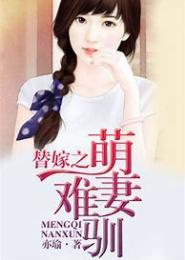 替嫁之小妻难驯