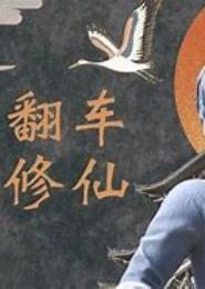苏悦的修仙之旅