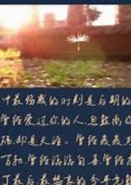 情在咫尺爱在天涯