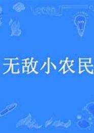 无敌小农民