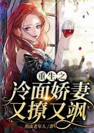 重生之绝世冷妻