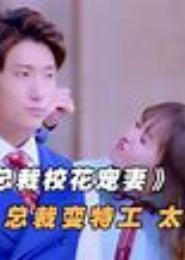 首席宠妻：特工老婆好V5