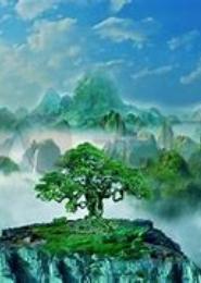仙景