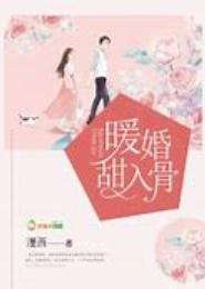 入骨暖婚，老婆抗议无效！