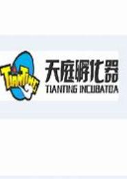 天庭网络管理员