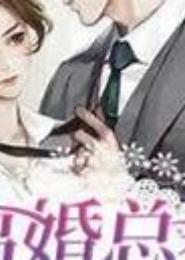 总裁也爱离婚剩女