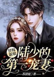 第一宠妻